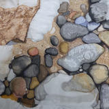 Marine Environment detail