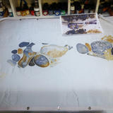 Start of a new rock pool 