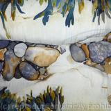 Rock Pool Channel with Seaweed