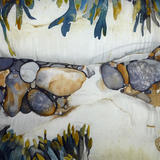 Rock Pool with Seaweed