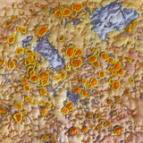 Orange and Yellow Lichen