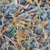 Hand embroidery on woodland floor