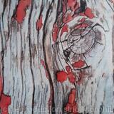 Stitched Fragment Red