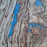 Stitched Fragment Blue