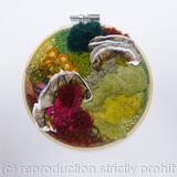 Lichen Moss and Fungi Hoop