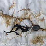 White Pebble in Chalk Rock Pool