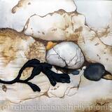 White Pebble in Chalk Rock Pool