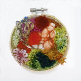 Moss and Lichen (rust,red and green)