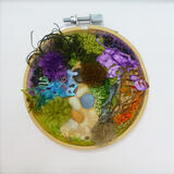Lichen Hoop - purple