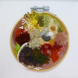 Lichen and Fungus hoop