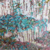 Lichen on Light Bark