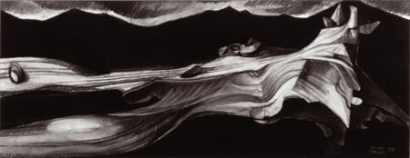 Welsh Landscape / Tirlyn Cymreig