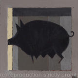 Black Pig / Mochyn Du