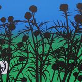 Thistles by the Canal