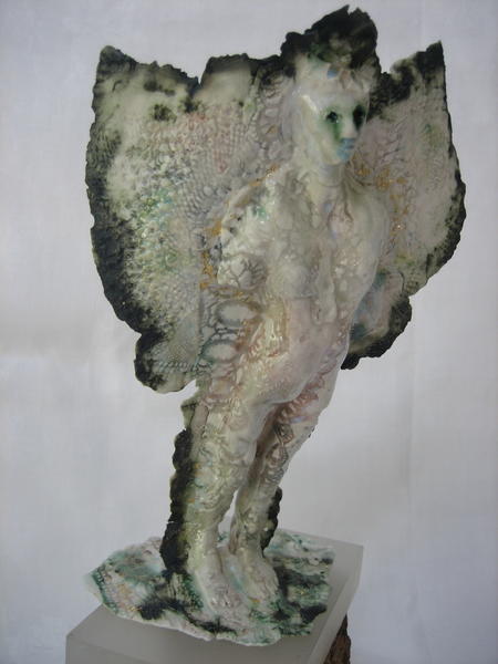 Metamorphosis series