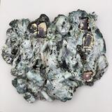 Windows on Another Life