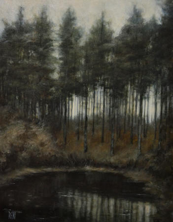 Reflections in Camore Wood