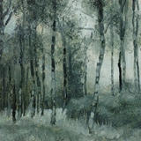 Silver Birch, Abernethy