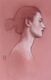 Sanguine Study in Profile