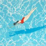 Diving in limited edition print