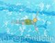 Breaststroke  in the Pool  limited edition print