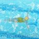 Breaststroke  in the Pool  limited edition print