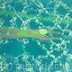 Swimming in a Green Pool -limited edition print
