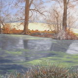 Frosty November Morning