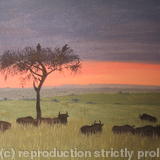 Serengeti Sunset