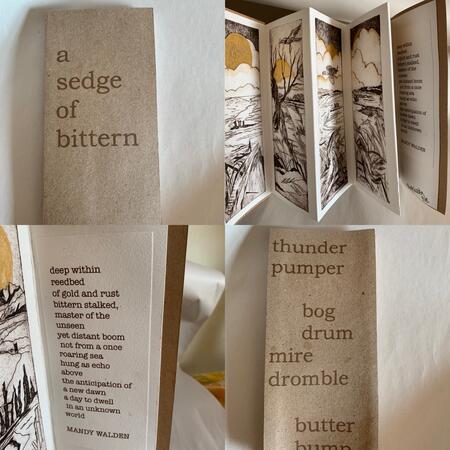 A sedge of bittern-collagraph artist book