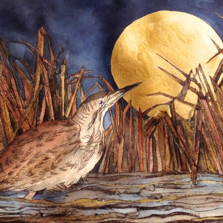 that night of golden moon saw bittern pause to wonder