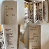 A sedge of bittern-collagraph artist book