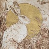 golden Summer's eve saw hare and swallow by willow herb and daisy