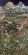 Hide and seek by crumbling stone, Covehithe