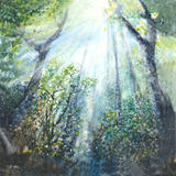 Tim Phillips Light Fall