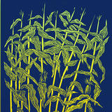 Drusilla Cole Maize ( indigo)