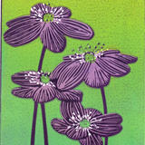 Drusilla Cole Hepatica ( mauve)