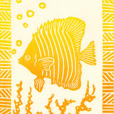 Drusilla Cole 'Angel Fish'