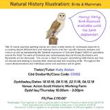 Workshops by Katy Alston