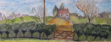 Houses, Trees And Hedge