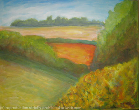 Gorse at Wiveton Downs