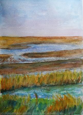 Winter Light on the Marshes