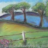 Blue Field At Mannington