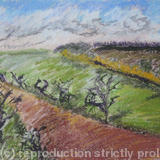 Windy Day at Stiffkey