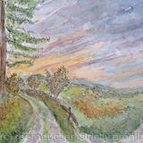 Late November Afternoon 