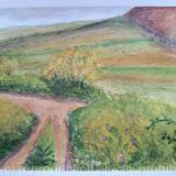 Behind the Shingle Bank