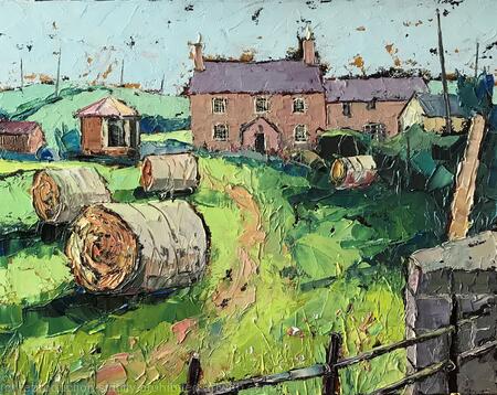 Borthwen Farm, Nr. Porth Trwyn, Anglesey