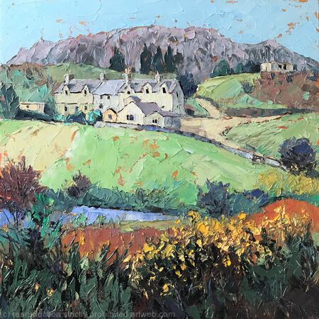 Yellow Broom, Mynydd Bodafon, Anglesey