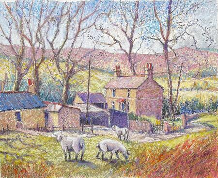 Sheep on Holywell Common, Flintshire