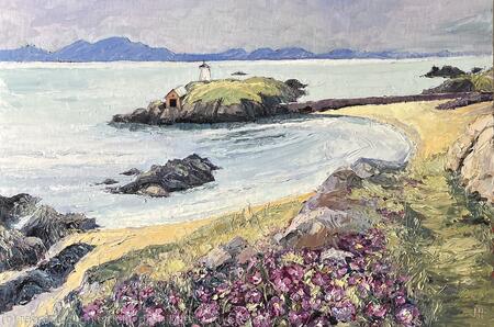 Flower Time on Llanddwyn Island